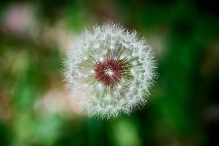 Covid-19 Update - Tannan Plastic Surgery