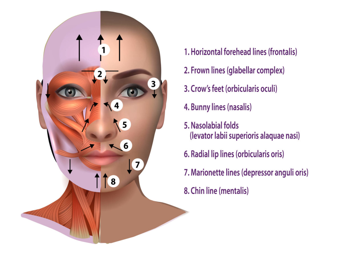 Botox Mentalis: Achieve a Smoother, Youthful Chin
