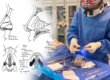 behind the scenes with revision rhinoplasty