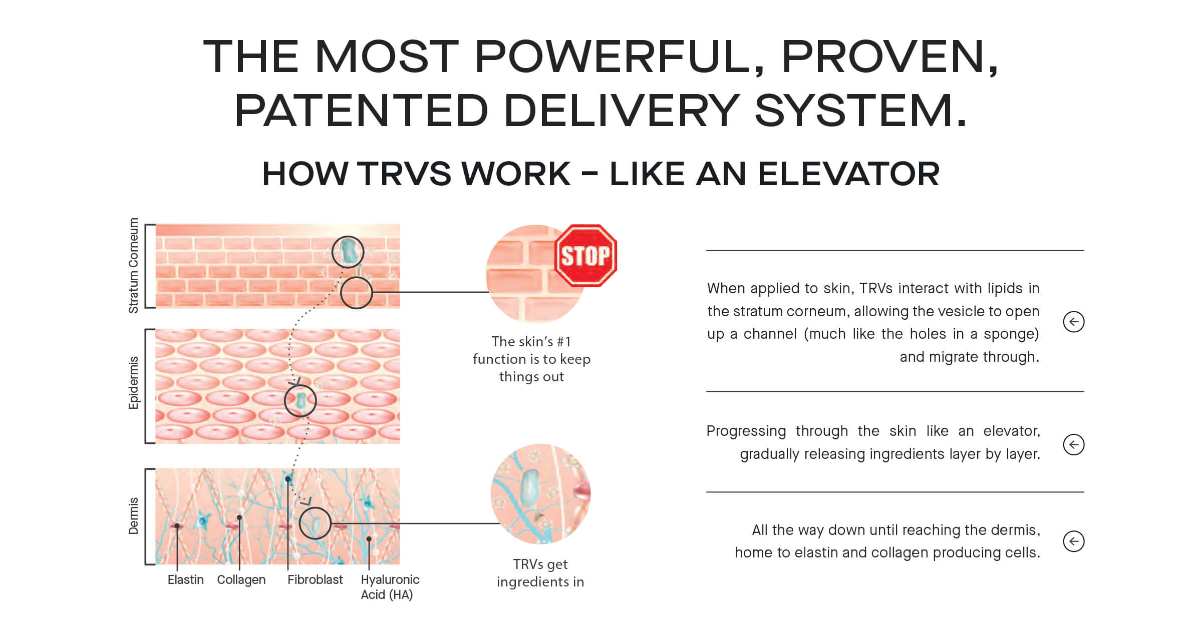 Ourself Technology Ourself delivery system technology